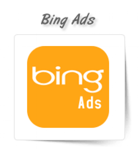 Bing PPC Management